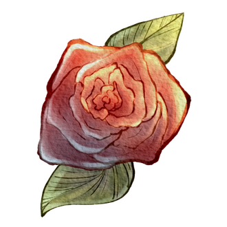 Red Rose