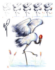 Crane Totebag