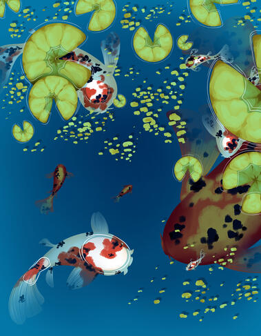 Koi Pond (Original)