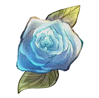 Blue Rose