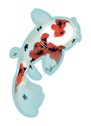 Koi Fish Koi Fish