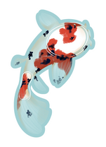 Koi Fish
